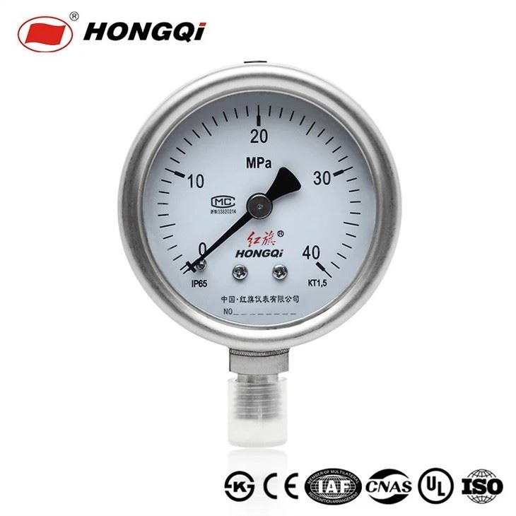 Hongqi Y60bf Shockproof/ Anti-Corrosion High 304ss Pressure Gauge
