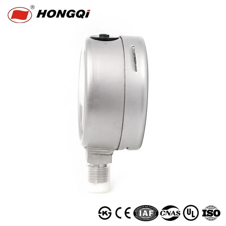 Hongqi Y60bf Shockproof/ Anti-Corrosion High 304ss Pressure Gauge