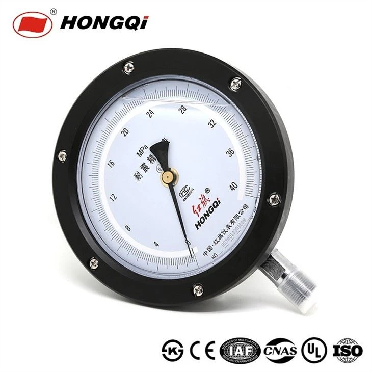 Shake Resistance Precision Pressure Gauge