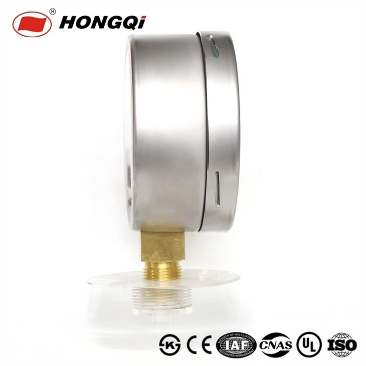 YE-100 Capsule Pressure Gauge With Anti-corrosive Character